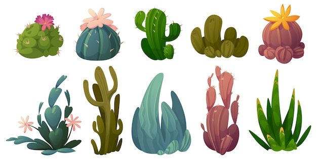 Set aus kaktus, wüstenkakteen, stetsonia, carnegia, selenicereus und rhipsalidopsis mit saguaro oder opuntia. cartoon blühende sukkulenten mit grünen stacheligen blättern und blüten vektor-illustration