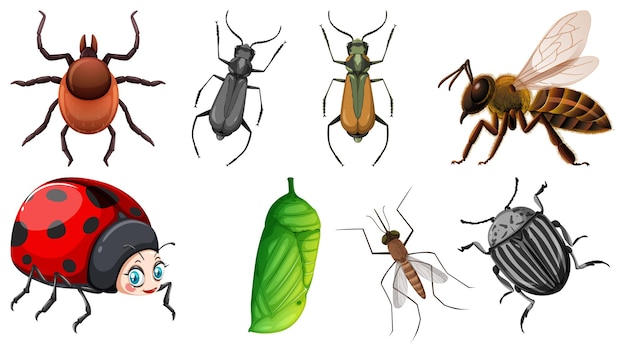 Kostenloser Vektor set aus verschiedenen arten von insekten