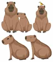 Kostenloser Vektor set aus verschiedenen capybara im cartoon-stil