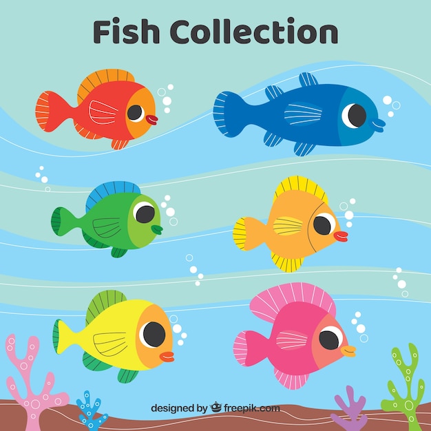 Set bunte fische in der flachen art