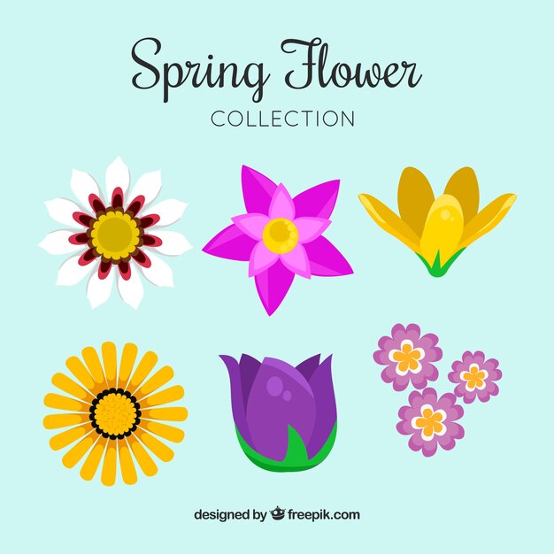 Set bunte Frühlingsblumen