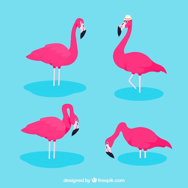 Kostenloser Vektor set rosa flamingos mit verschiedenen haltungen