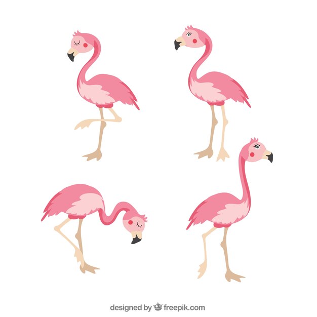 Set rosa Flamingos mit verschiedenen Haltungen