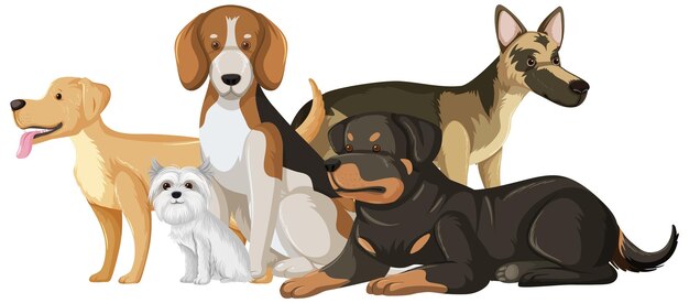Set von Hund Hunderassen Cartoon