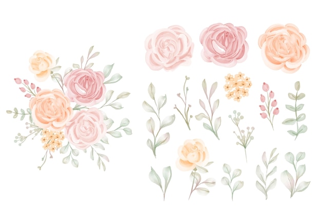 Kostenloser Vektor set von luxus-isolierten pfirsich-rose-blumen-clipart