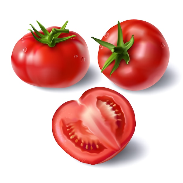 Set von realistischen vollen und geschnittenen Tomaten Vektoren