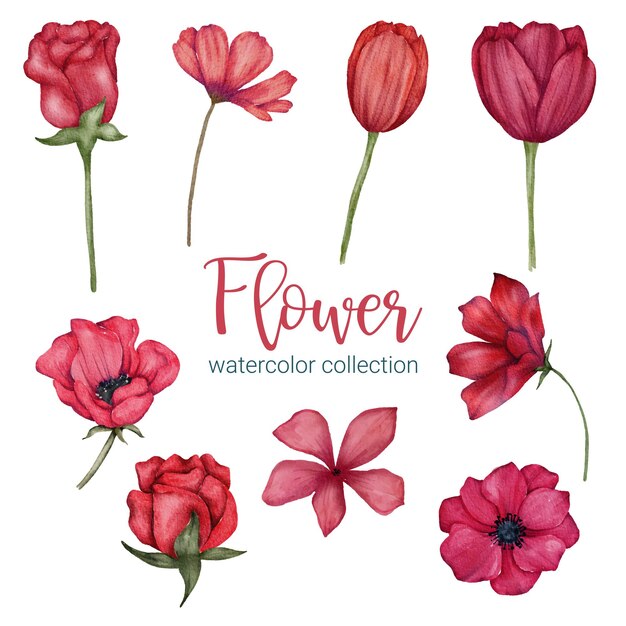 Set von separaten Teilen und bringen Sie zu einem schönen Blumenstrauß in Aquarellstil auf flacher Vektorillustration auf weißem Hintergrund zusammen