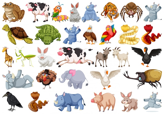Set von Tierfigur