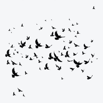 Silhouette eines vogelschwarms. schwarze konturen fliegender vögel. fliegende tauben. Premium Vektoren
