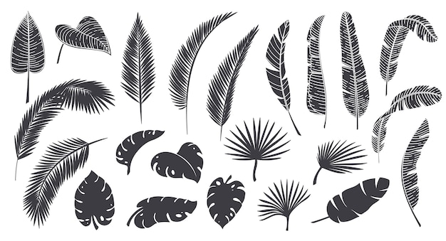Silhouetten tropische blätter. monochrome glyphe waldpalme monstera farn hawaiianische blätter. tropische elemente-vektor-illustration.
