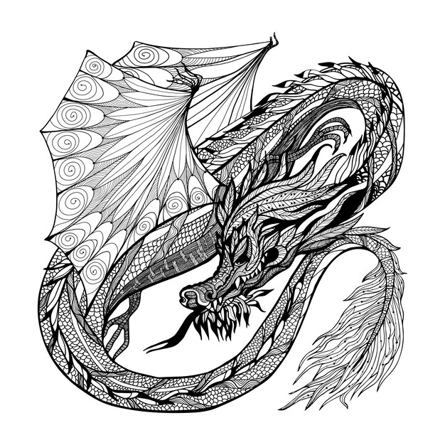 Skizze Drache Illustration