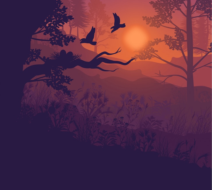 Kostenlose Vektor sonnenaufgang waldlandschaft
