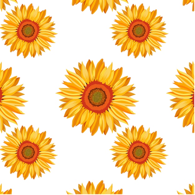 Sonnenblumenmuster Hintergrund