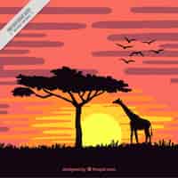 Kostenloser Vektor sonnenuntergang in der savanne mit einer giraffe