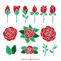 Kostenloser Vektor sortiment von handgezeichneten roten rosen