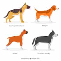 Kostenloser Vektor sortiment von vier profil hunde