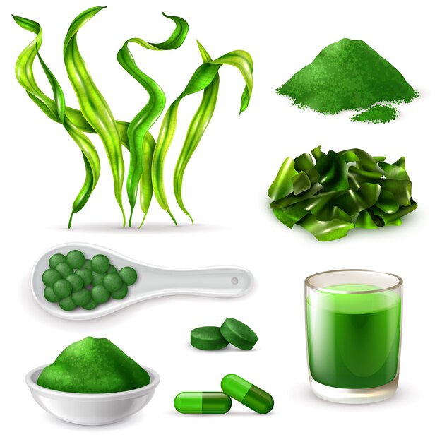 Spirulina realistisches Set