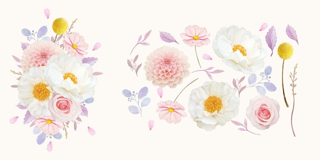 Stellen Sie Aquarellelemente der rosa Rosendahlie und der Pfingstrosenblume ein