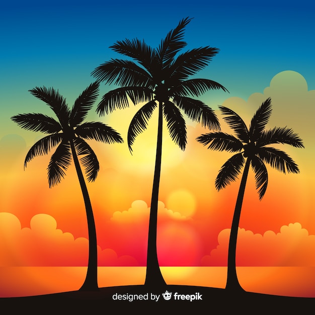 Strandsonnenuntergang mit palmenschattenbildern