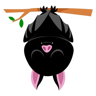 Fledermaus Illustration Premium Vektor