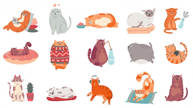 Susse Katzen Lustige Katze Im Kasten Entzuckendes Schlafendes Katzchen Und Fette Katze Im Pulloverillustrationssatz Lebensstil Von Haustieren Comic Haustier Das Am Laptop Arbeitet Yoga Macht Musikaufkleber Hort Premium Vektor