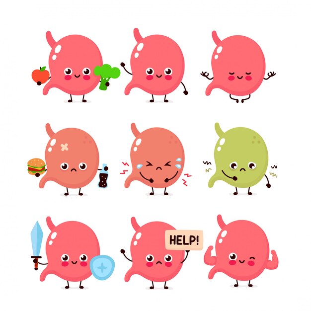 Susser Magen Gesetzt Gesundes Und Ungesundes Menschliches Organ Vektor Moderne Art Cartoon Charakter Illustration Icon Design Gesundes Essen Ernahrung Magenkonzept Premium Vektor