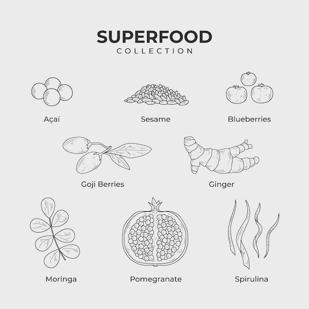 Kostenloser Vektor superfood-sammlung