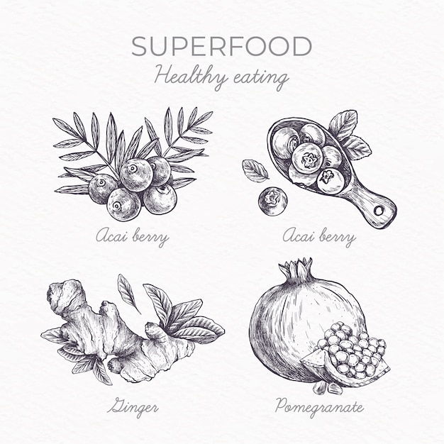 Superfood-Sammlungskonzept