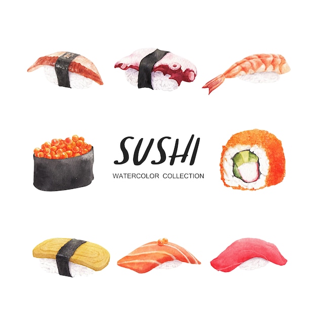 Kostenloser Vektor sushi sammlung aquarell design