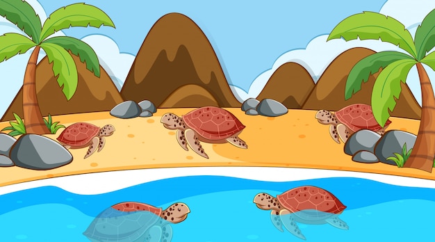 Kostenloser Vektor szene mit den meeresschildkröten, die im meer schwimmen