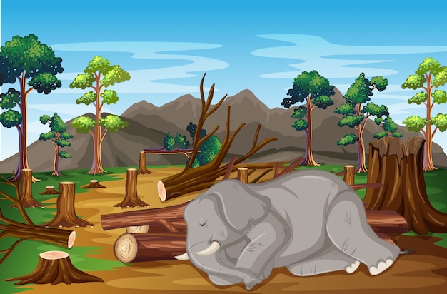 Szene mit krankem elefanten und abholzung