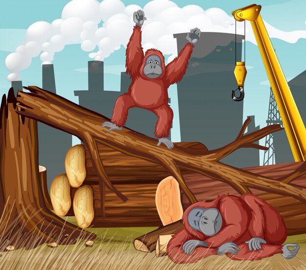 Szene mit Schimpansen und Abholzung