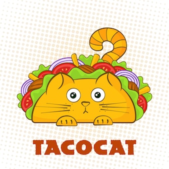 Tacocat überraschte charakter-fast-food-taco-symbol-vektor-illustration verwirrtes katzenmaskottchen mit leckerem