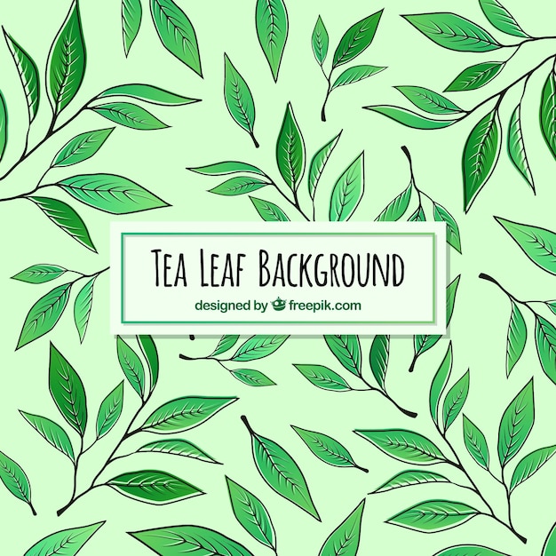 Teehintergrund mit Blättern