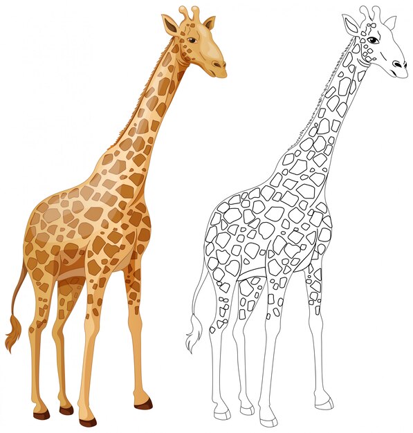 Tierentwurf für Giraffe