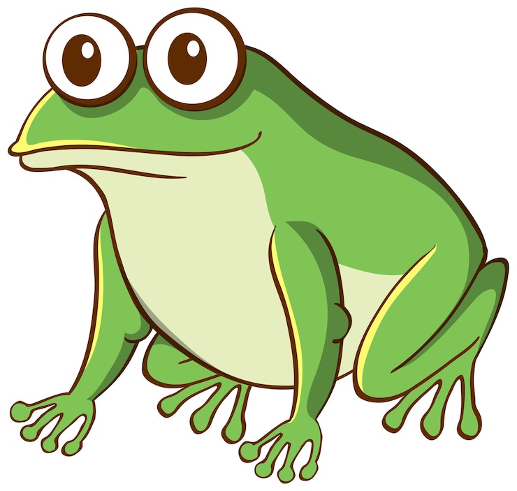 Kostenlose Vektor tierkarikatur des grünen frosches auf weißem hintergrund