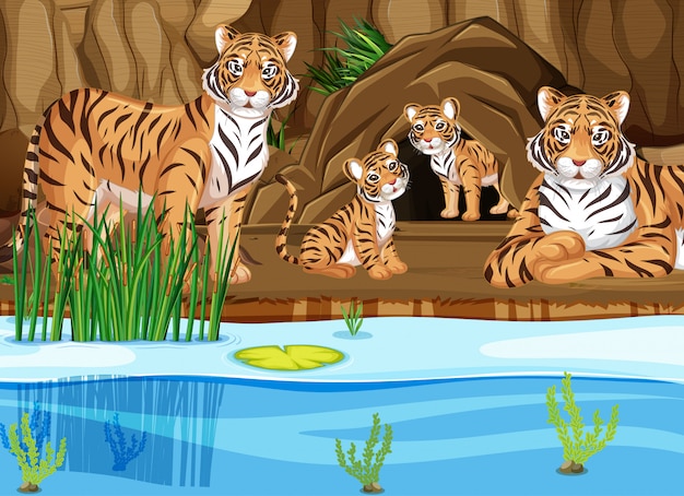 Tigerfamilie am Teich Kostenloser Vektor