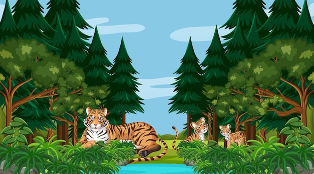 Tigerfamilie in der Wald- oder Regenwaldszene mit vielen Bäumen