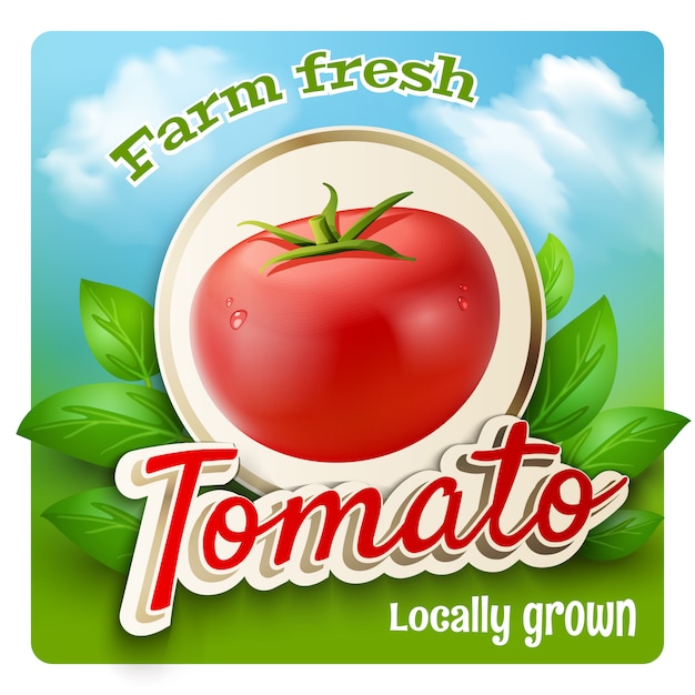 Tomaten-promo-plakat