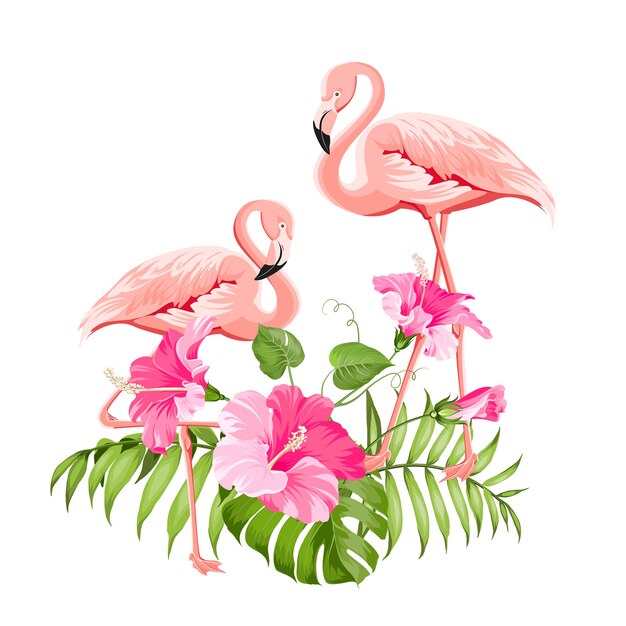 Tropische Blume und Flamingos auf weißem Hintergrund. Vektorillustration.