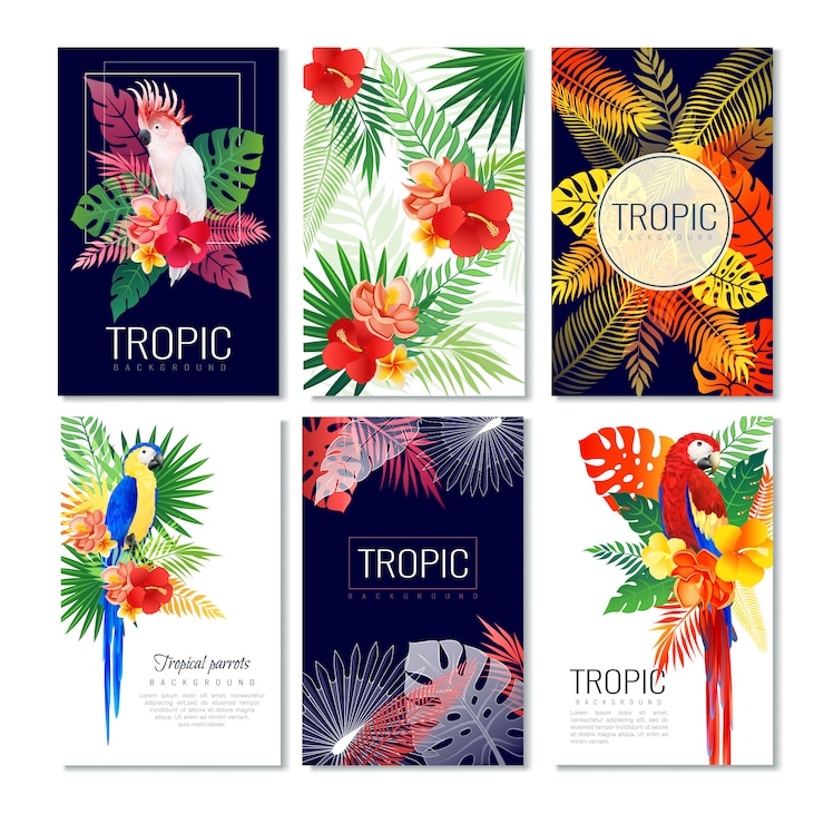 Kostenlose Vektor tropische design-karten-sammlung