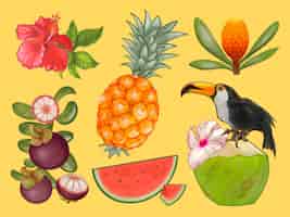 Kostenloser Vektor tropische früchte und blumenabbildung