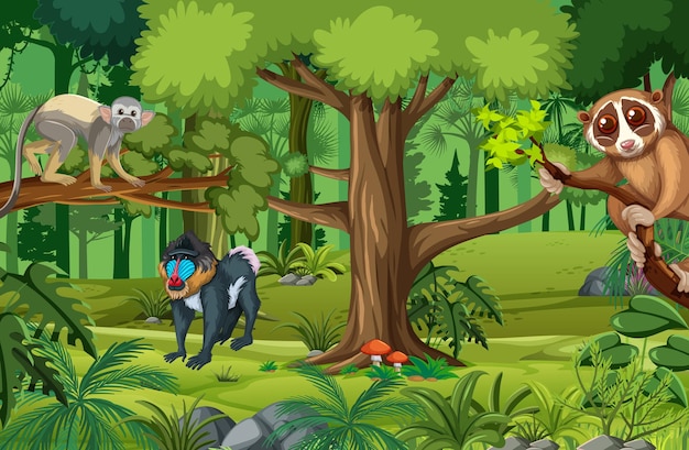 Tropische Regenwaldszene mit verschiedenen wilden Tieren