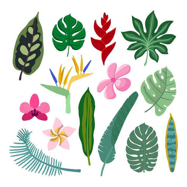 Tropischer Blumen- und Blattsammlungsstil
