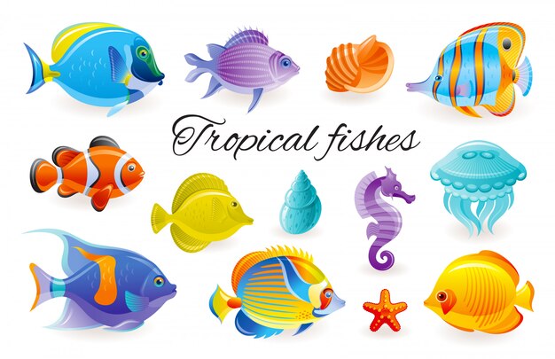 Tropischer Fisch Eingestellt Aquarium Seeikone Korallenriff Unterwassertier Isolierte Ozeanleben Sammlung Seepferdchen Starfish Angelfish Butterfly Surgeon Quallen Premium Vektor