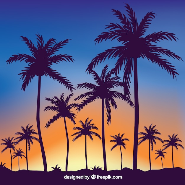 Kostenloser Vektor tropischer sommerhintergrund mit schattenbildern von palmen
