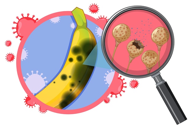 Kostenloser Vektor ungenießbare banane mit schimmel