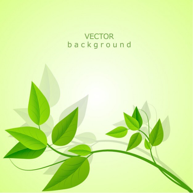 Vector background Blätter