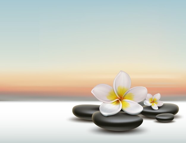 Vector weiße Plumeria-Blume mit schwarzen Zen-Spa-Steinen auf Sonnenuntergangshintergrund