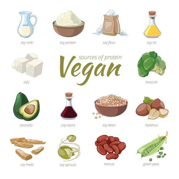 Vegane Proteinquellen. Pflanzliche Protein-Cliparts im Cartoon-Stil. Erbsen und Haricot, Haselnuss und Avocado, Brokkoli und Soja